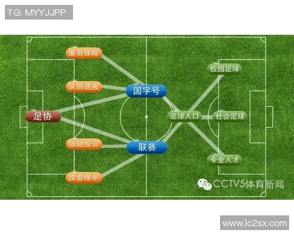 外国足球明星加盟中国国家队的前景与挑战分析 外国足球明星加盟中国国家队的前景与挑战分析