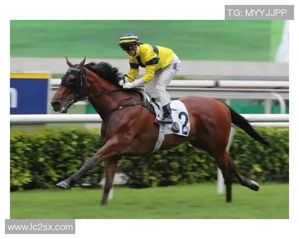 韩国足球新星郑优营崭露头角 向世界足坛展示无限潜力